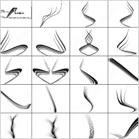 vector curves brush