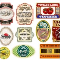 vector fashion bottle label