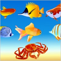 Vector Fish