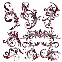 Vector Floral Design Elements