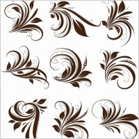 Vector Floral Elements for Design