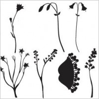 Vector floral ornaments