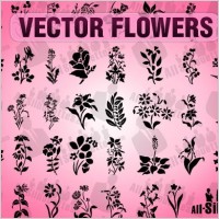 Vector Flowers