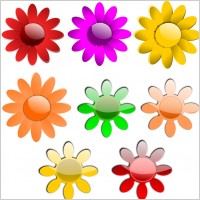Vector Flowers