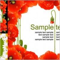 vector flowers frame