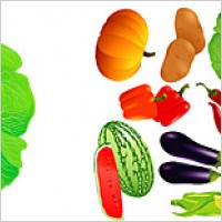 Vector fruits and vegetables