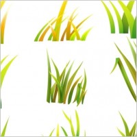Vector Grass