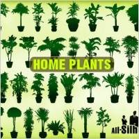 Vector Home Plants Clipart