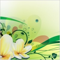 Vector illustration with plumeria