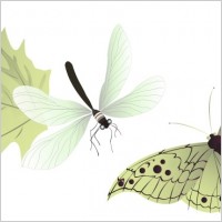 Vector Insects 