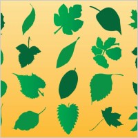 Vector Leaf Silhouette Art