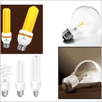 
								Vector Lightbulbs							