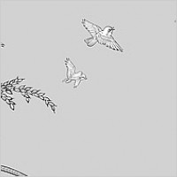 Vector line drawing of flowers-33(Rice, birds)