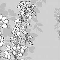Vector line drawing of flowers-43(Sakura)