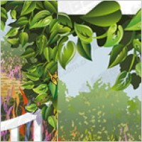Vector material vine leaves