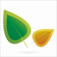 Vector Natural Design