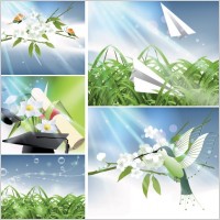 vector nature of light and plant