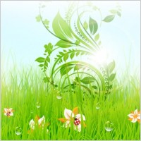 Vector Nature Scene With Lady Bugs