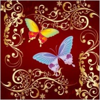 vector ornament butterfly design, illustrator vector ornament ai