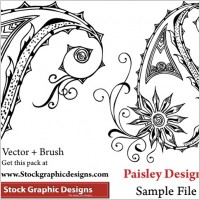 Vector Paisley Designs