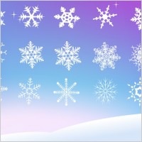 Vector Snowflake