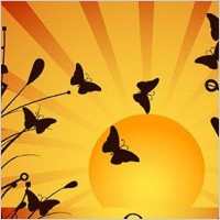 Vector sunset background