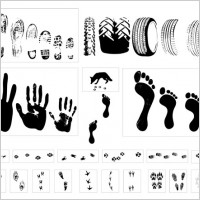 vector traces of footprints tires