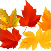 Vector Tree Leaf