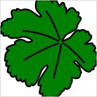 Vine-leaf clip art