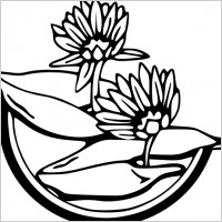 Water Lily clip art