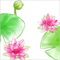 Watercolor style lotus