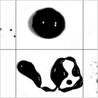 wet ink-stains brush