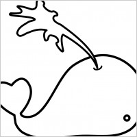 Whale love