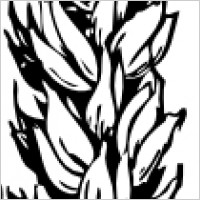 Wheat clip art