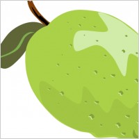 Whole Lime clip art