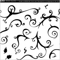 Wild Swirls