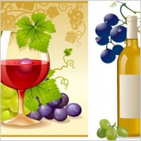Wine and Grape Vectors
