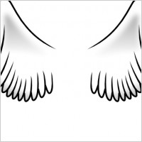 Wings clip art