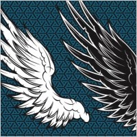 Wings Vector 