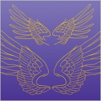 Wings Vector Drawing