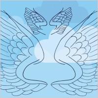 Wings Vector Illustration