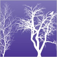 Winter Trees