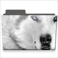 Wolf folder