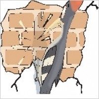 Woodpecker and Brick Wall
