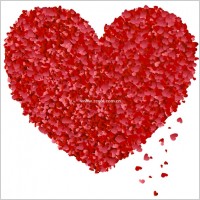 xiaotao heart petals from the peach heart vector