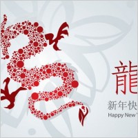 year of the dragon cards 01 vector