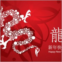year of the dragon cards 02 vector
