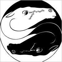 Yin Yang Horses clip art