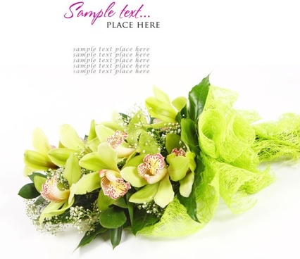 beautiful flowers and greeting cards 04 hd pictures