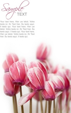 beautiful flowers background 02 hd pictures